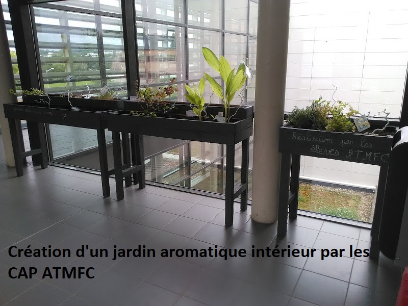 Jardin aromatique intérieur CAP ATMFC